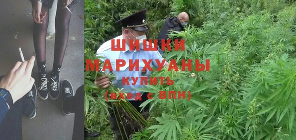 apvp Алзамай