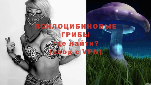 apvp Алзамай