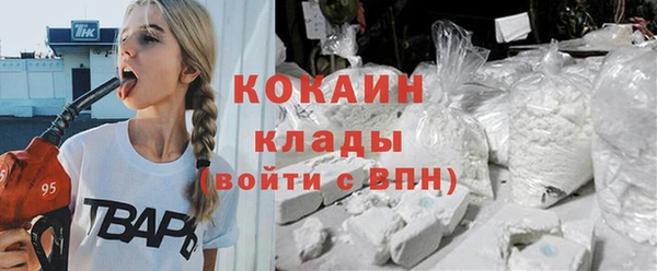 apvp Алзамай