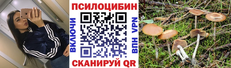 Галлюциногенные грибы GOLDEN TEACHER  omg ONION  Удачный  хочу  